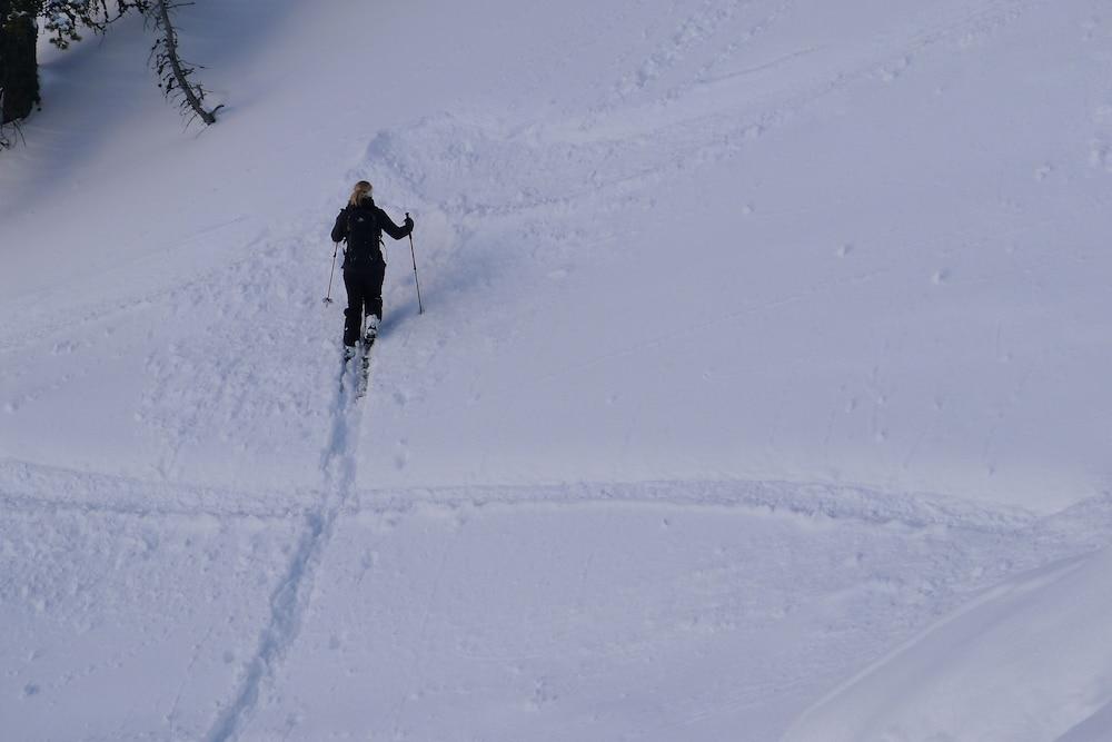 Hotel Continental Dolomites เซลวาดีวัลการ์เดนา ภายนอก รูปภาพ